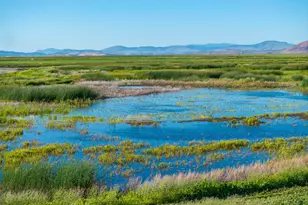 3034 State Line Rd, Dorris, CA 96023 - Photo 4