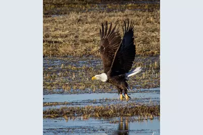 3034 State Line Road, Dorris, CA 96023 - Photo 36