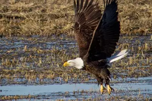 3034 State Line Rd, Dorris, CA 96023 - Photo 36