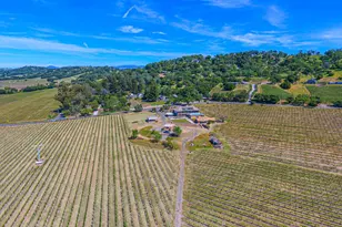 590 Pleasant Ave, Santa Rosa, CA 95403 - Photo 78