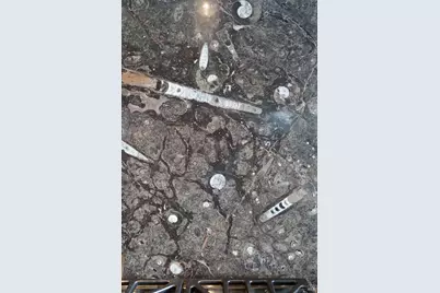 40445 Tide Pool, The Sea Ranch, CA 95497 - Photo 14