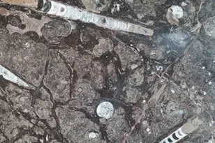 40445 Tide Pool, The Sea Ranch, CA 95497 - Photo 14