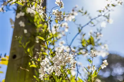 47 Main Drive, San Rafael, CA 94901 - Photo 14