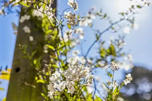 47 Main Dr, San Rafael, CA 94901 - Photo 14