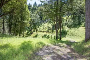 18900 Armstrong Woods Rd, Guerneville, CA 95446 - Photo 20