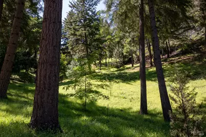 18900 Armstrong Woods Road, Guerneville, CA 95446 - Photo 42