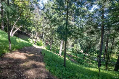 18900 Armstrong Woods Road, Guerneville, CA 95446 - Photo 20