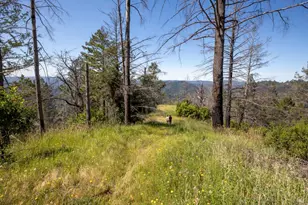 18900 Armstrong Woods Rd, Guerneville, CA 95446 - Photo 58