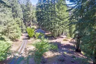 18900 Armstrong Woods Rd, Guerneville, CA 95446 - Photo 12