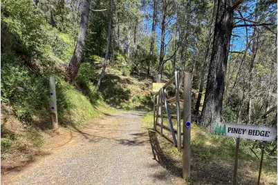 18900 Armstrong Woods Road, Guerneville, CA 95446 - Photo 18