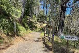 18900 Armstrong Woods Rd, Guerneville, CA 95446 - Photo 18