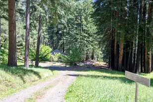 18900 Armstrong Woods Rd, Guerneville, CA 95446 - Photo 38