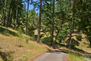 18900 NW Armstrong Woods Rd, Guerneville, CA 95446 - Photo 10