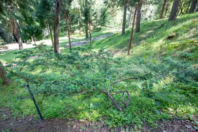 18900 Armstrong Woods Road, Guerneville, CA 95446 - Photo 32