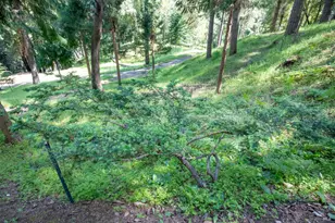 18900 Armstrong Woods Rd, Guerneville, CA 95446 - Photo 32
