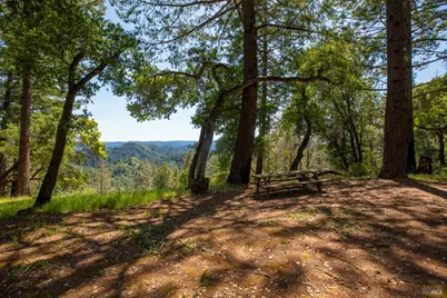 18900 Armstrong Woods Road, Guerneville, CA 95446 - Photo 46