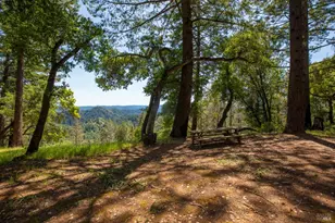 18900 Armstrong Woods Rd, Guerneville, CA 95446 - Photo 46