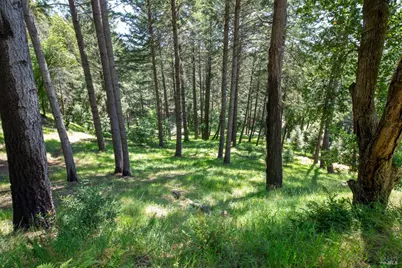 18900 Armstrong Woods Road, Guerneville, CA 95446 - Photo 40
