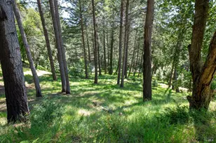 18900 Armstrong Woods Rd, Guerneville, CA 95446 - Photo 40
