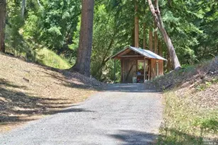 18900 NW Armstrong Woods Rd, Guerneville, CA 95446 - Photo 8