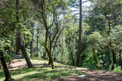 18900 Armstrong Woods Road, Guerneville, CA 95446 - Photo 54