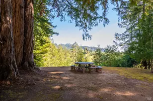 18900 Armstrong Woods Rd, Guerneville, CA 95446 - Photo 32