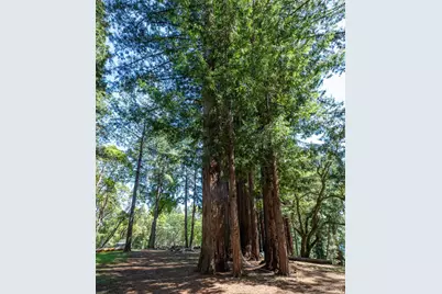 18900 Armstrong Woods Road, Guerneville, CA 95446 - Photo 40