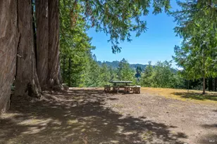 18900 Armstrong Woods Rd, Guerneville, CA 95446 - Photo 16