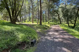 18900 Armstrong Woods Rd, Guerneville, CA 95446 - Photo 4