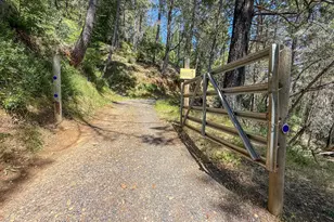 18900 Armstrong Woods Rd, Guerneville, CA 95446 - Photo 2
