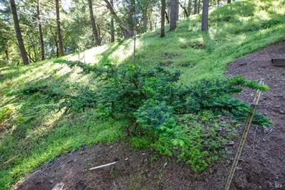 18900 Armstrong Woods Road, Guerneville, CA 95446 - Photo 34