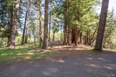 18900 Armstrong Woods Road, Guerneville, CA 95446 - Photo 44