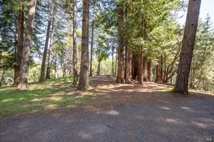 18900 Armstrong Woods Rd, Guerneville, CA 95446 - Photo 44