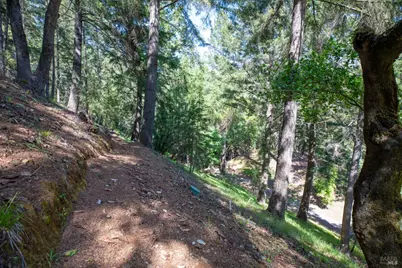 18900 Armstrong Woods Road, Guerneville, CA 95446 - Photo 38