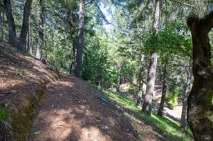 18900 Armstrong Woods Rd, Guerneville, CA 95446 - Photo 38