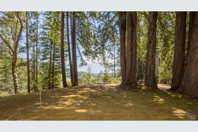 18900 Armstrong Woods Road, Guerneville, CA 95446 - Photo 44