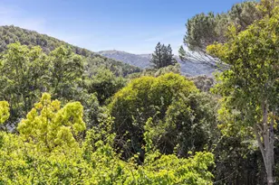 19 Shannon Ct, Novato, CA 94949 - Photo 42