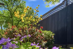 665 4th St, Sonoma, CA 95476 - Photo 28