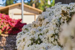 665 4th St, Sonoma, CA 95476 - Photo 42