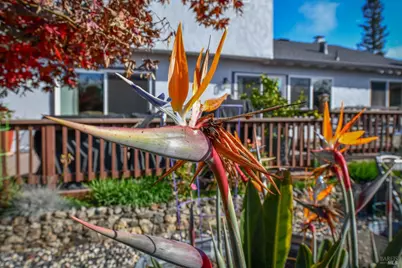 4139 Via La Paz, Napa, CA 94558 - Photo 34