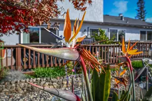 4139 Via La Paz, Napa, CA 94558 - Photo 34