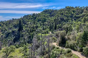 12300 Skaggs Rd, Geyserville, CA 95441 - Photo 50