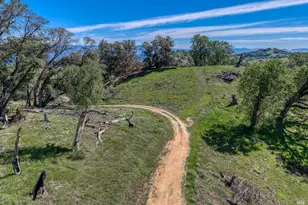 12300 Skaggs Rd, Geyserville, CA 95441 - Photo 60