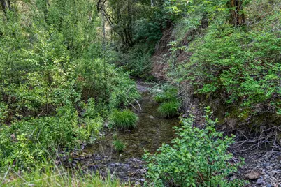 12300 Skaggs Road, Geyserville, CA 95441 - Photo 2