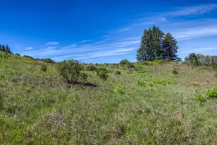 12300 Skaggs Rd, Geyserville, CA 95441 - Photo 46