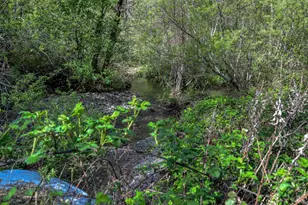 12300 Skaggs Rd, Geyserville, CA 95441 - Photo 6