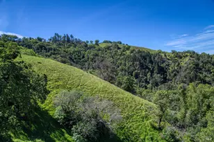 12300 Skaggs Rd, Geyserville, CA 95441 - Photo 44