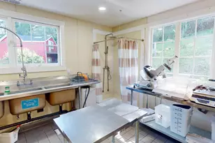 380 Bohemian Hwy, Freestone, CA 95472 - Photo 26