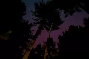 38051 Ocean Ridge Dr, Gualala, CA 95445 - Photo 32