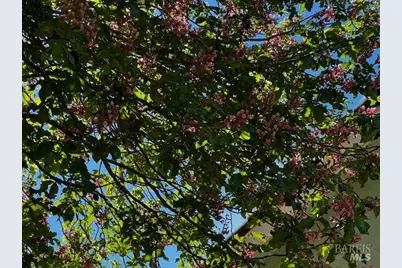 638 E Fleming Avenue, Vallejo, CA 94591 - Photo 32